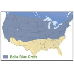 Bella™ Bluegrass Grass Plugs -Perennials Sales Store bella blue grass map